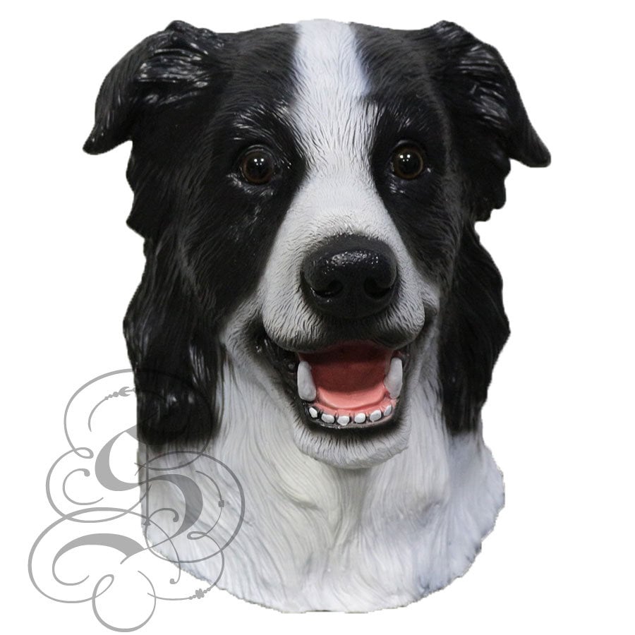 Border Collie Print Sheep Dog Humanised Hipster Animal 