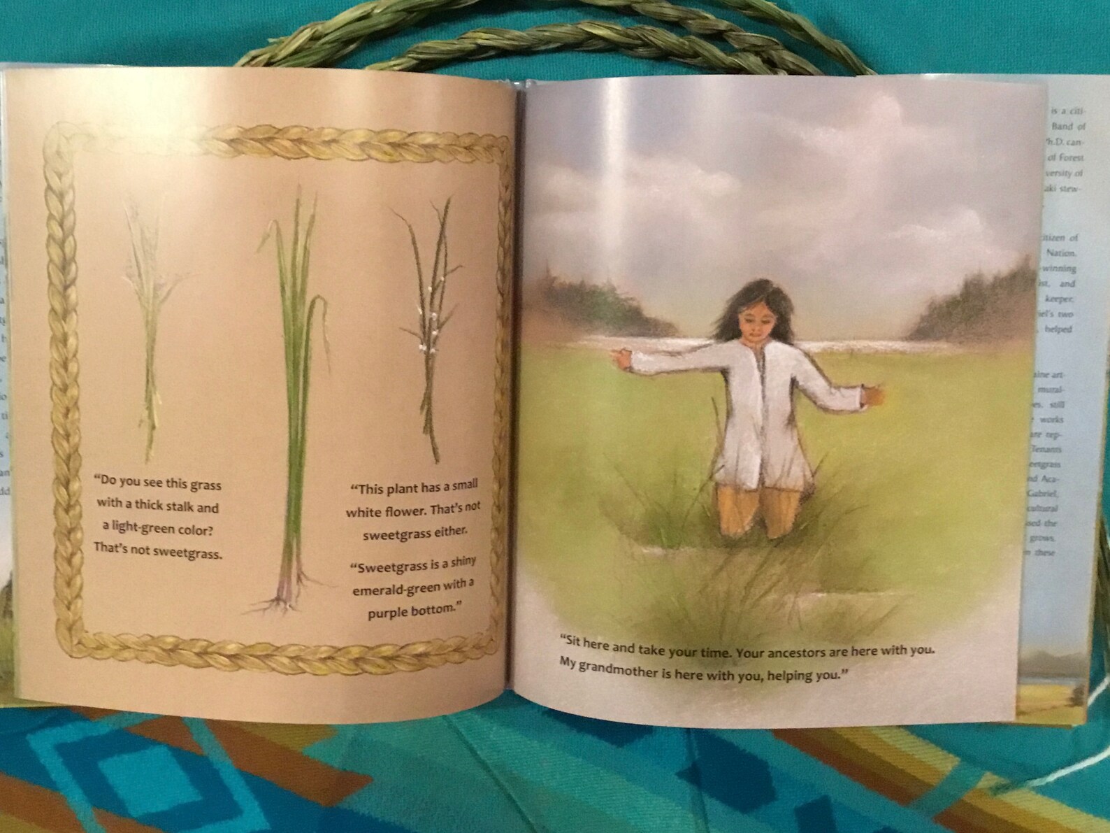 First Blade of Sweetgrass Book and 3 Braids Gift Set Etsy