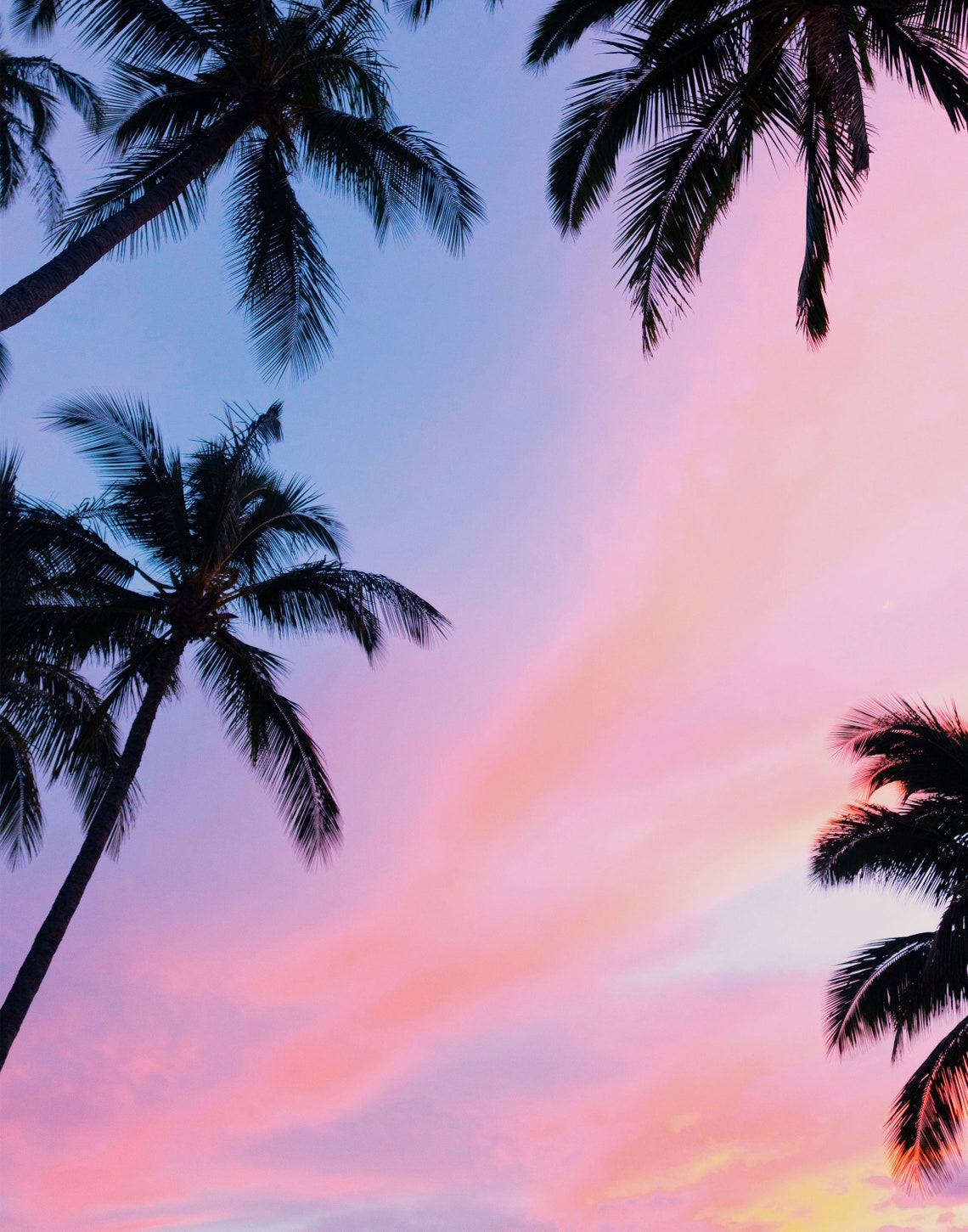 Palm Tree Wall Decor Tropical Tree Print Palm Tree - Etsy