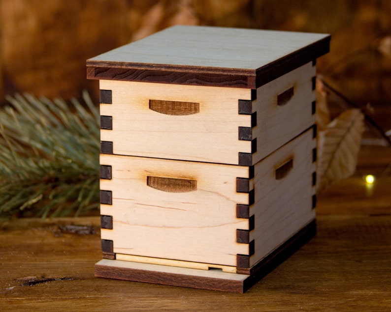 Mini DIY Bee Hive Model Kit, My Little Beekeeper image 8