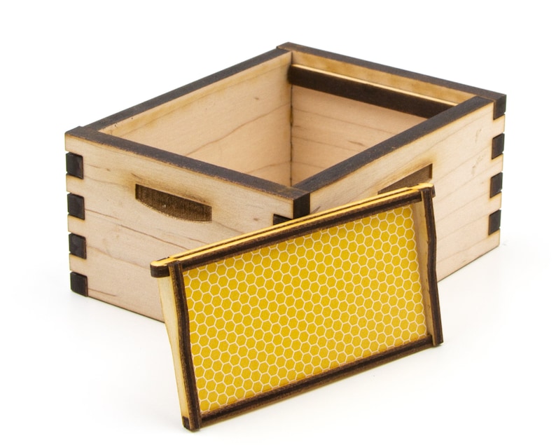 Mini DIY Bee Hive Model Kit, My Little Beekeeper image 7