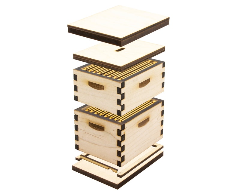 Mini DIY Bee Hive Model Kit, My Little Beekeeper image 6