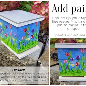 Puede incluir: Una peque&ntilde;a colmena de madera pintada con un fondo azul y un dise&ntilde;o floral de tulipanes en tonos rosa, morado, amarillo y rojo. La colmena est&aacute; sobre una superficie de piedra gris. El texto "&iexcl;A&ntilde;adir pintura!" est&aacute; en la esquina superior derecha de la imagen. El texto "&iexcl;Dale un toque especial a tu My Little Beekeeper&trade; con una capa de pintura para que sea realmente &uacute;nico!" est&aacute; debajo del texto "&iexcl;A&ntilde;adir pintura!" El texto "*la pintura no est&aacute; incluida en el kit*" est&aacute; debajo del texto "&iexcl;&uacute;nico!" El texto "&iexcl;Dato curioso! Los apicultores pintan sus colmenas para protegerlas del clima, para ayudar a la colmena a integrarse en su entorno y para distinguir las colmenas unas de otras." est&aacute; en la esquina inferior izquierda de la imagen.