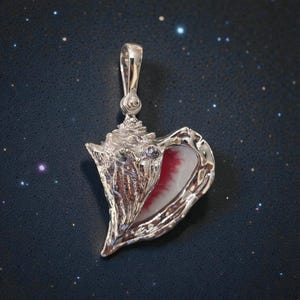May include: A silver seashell pendant with a bail. The pendant features a detailed conch shell design with a red and white interior. The pendant is set against a dark blue background with small white dots.