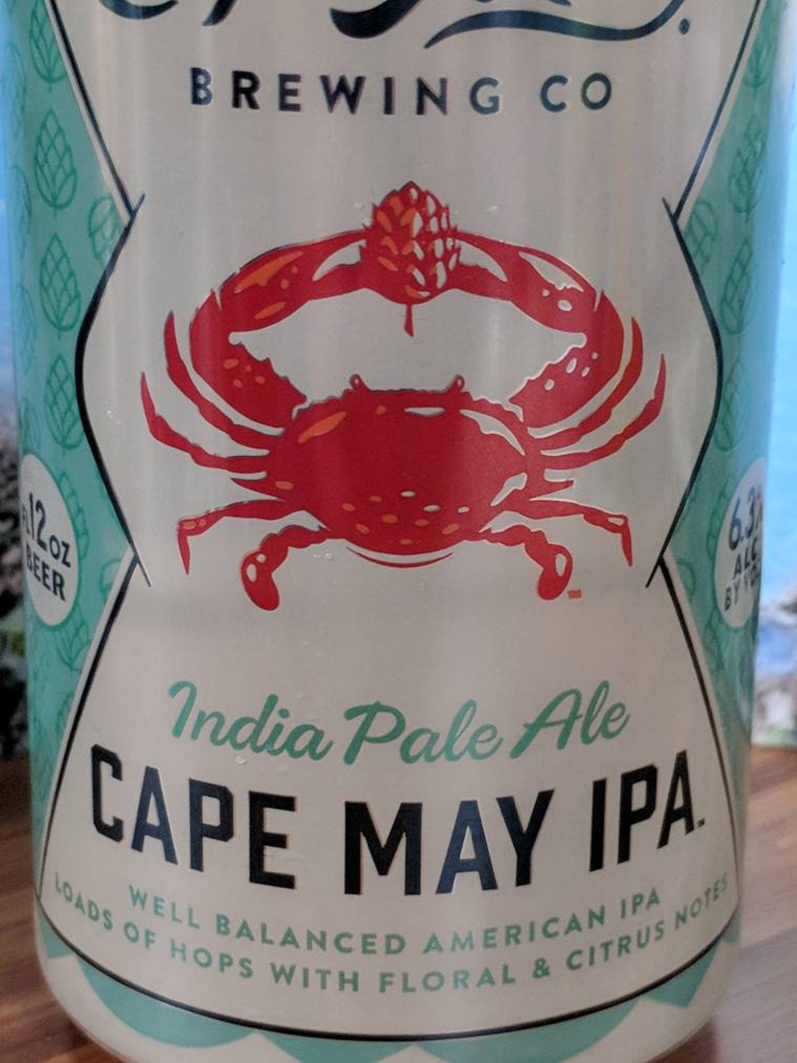 Cape May IPA Beer Can Candle Choice of Scent Etsy