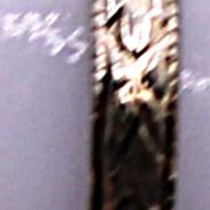 May include: A close-up of a silver ring with an intricate floral pattern. The ring's surface is detailed with embossed flowers and leaves, and the edges have a beaded design. The ring is set against a soft, neutral background.