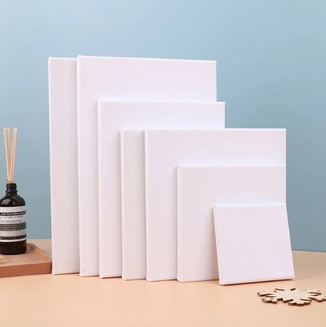 Blank Artist Canvas Art Board Plain Painting Stretched Framed White ...