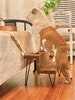 Industrial Modern Rustic Pet Step Stool Dog and Cat Steps
