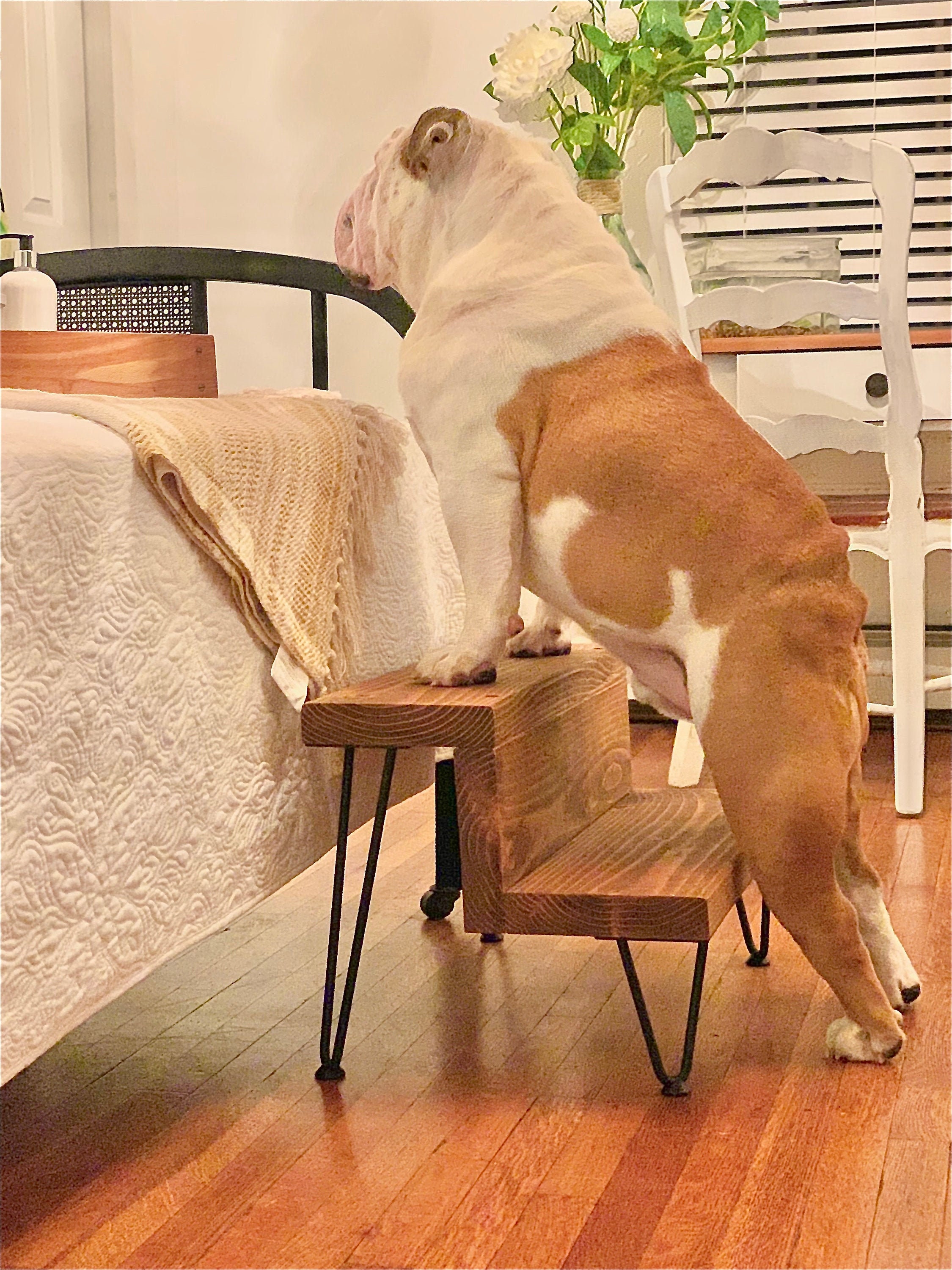 Industriel Moderne Rustique Pet Step Tabouret Pour Chien et Chat Étapes