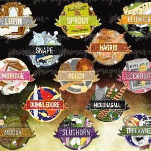 Magical Medallions: Professors Enamel Pins