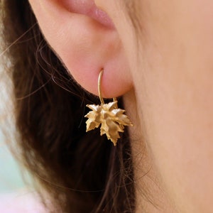Gold Tropfen Ohrringe, 14k Gold Ohrringe, Blatt Ohrringe, Goldblatt Ohrringe, Kleine Tropfen Ohrringe, Zierliche Ohrringe, Ahornblatt Ohrringe