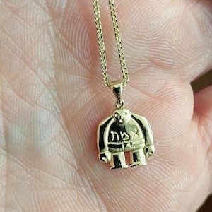 Dainty 14K Solid Gold Personalized Golem Guardian Pendant. Jewish Protection Amulet Necklace. Large and Small Sizes. Customized Hebrew Emet Engraved Charm. Golem of Prague Judaica Jewelry. Recycled Gold. Statement Pendant Only or with Chain. Gift for Him Her. Gold Pendant.