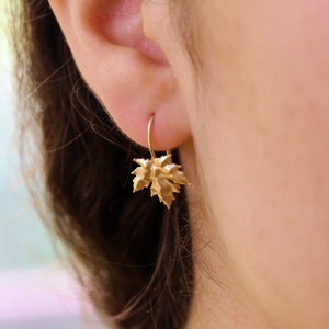 May include: Gold earrings with a leaf design. The leaves are textured and have a slightly hammered look.