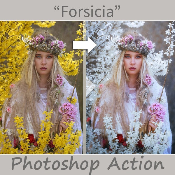 PHOTOLEGEND'S FORSICIA Photoshop Actions