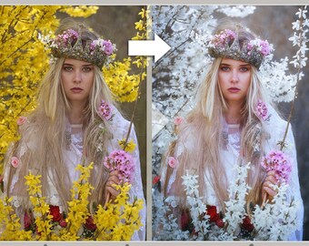 PHOTOLEGEND'S FORSICIA Photoshop Actions