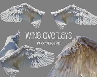 PNG Overlays WHITE WINGS