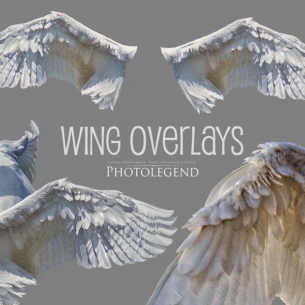 PNG Overlays WHITE WINGS