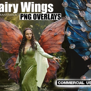 FAIRY WINGS transparent PNG overlays