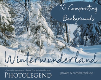 10 Digital Winter Snow Backgrounds