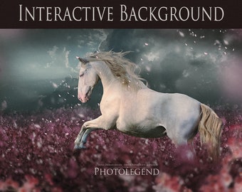 Interactive Photo Editing Background