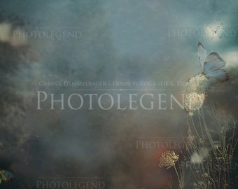 Digital Fantasy Background Backdrop