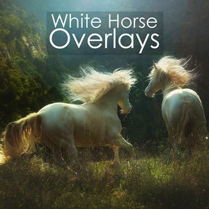 White Horse Photoshop Overlays