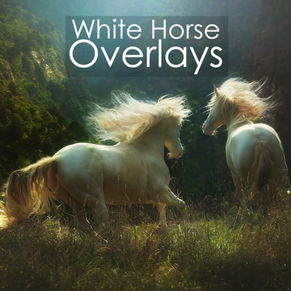 White Horse Photoshop Overlays