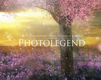 Dreamy Background