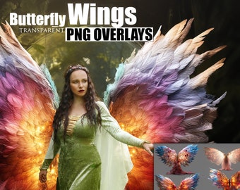 Butterfly WINGS transparent PNG overlays