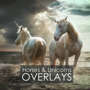 Unicorn Photoshop Overlays