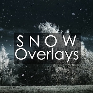 Könnte beinhalten: Eine verschneite Winterlandschaft mit Bäumen, die mit Frost bedeckt sind. Der Text "SNOW Overlays" ist über das Bild gelegt.