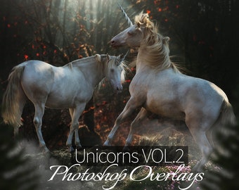 Unicorn II Photoshop Overlays