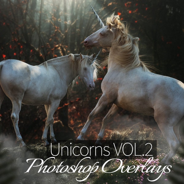 Licorne II Photoshop Overlays