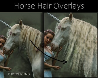 REAL Horse Hair Overlays TRANSPARENT