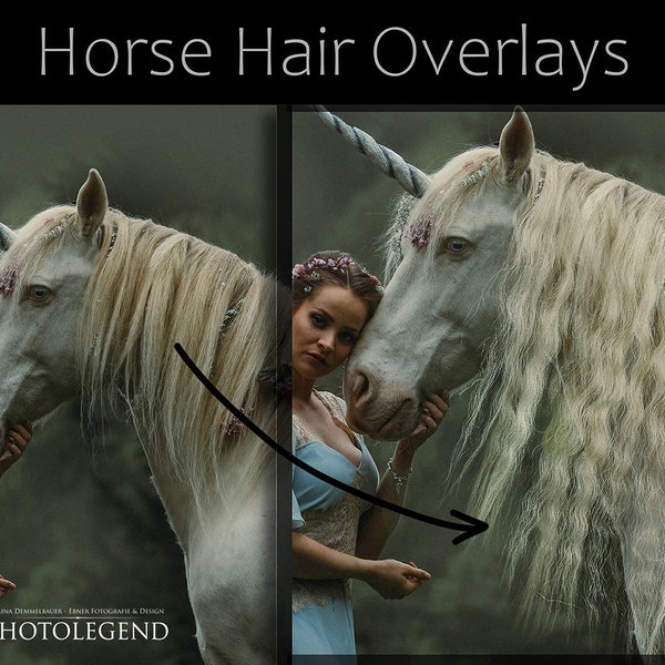 REAL Horse Hair Overlays TRANSPARENT