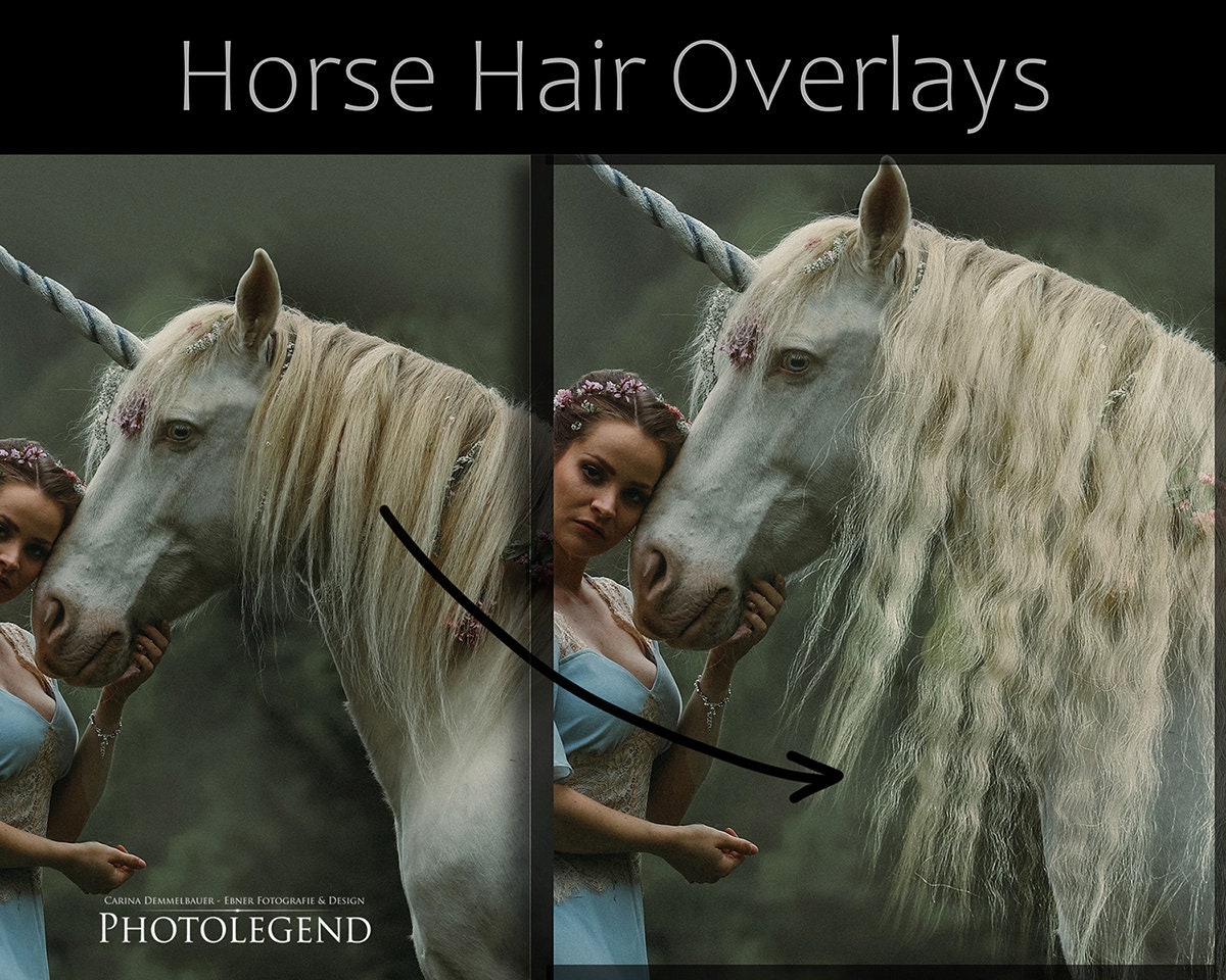 REAL Horse Hair Overlays TRANSPARENT - Etsy REAL Horse Hair Overlays TRANSPARENT - Etsy