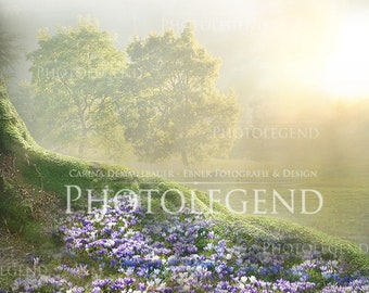 Digital Fantasy Background Backdrop