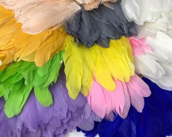 Beautiful Rooster Feather Trim Feathers fringe White Rooster Feather trim Craft Color feather decoration Black feathers Dress feather