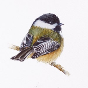 Watercolor Painting Bird, ORIGINAL Watercolor, Bird Art, Wall decor, Ornithology, Bird Lovers Gift
