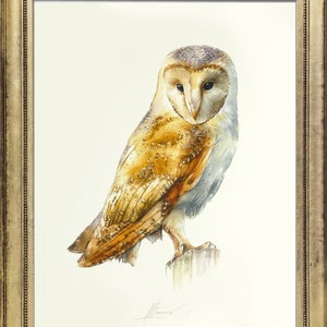 Barn Owl Watercolor Painting: Limited Edition Fine Art Print