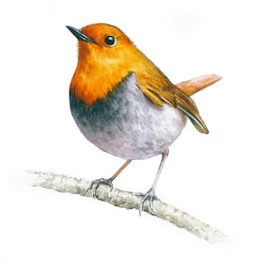 Watercolor Bird Painting, Bird Watercolor Art, Original Small Bird Art, Gift for Bird Lovers, Hand-Painted Nature Wall Décor