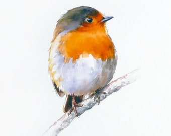 Oiseau Robin, oiseau peinture aquarelle, aquarelle ORIGINAL, Art oiseau, décoration murale, ornithologie, cadeau amoureux des oiseaux