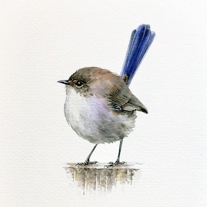 Fairy Wren, Watercolor Painting Original, Birds, Bird Artworks, Wall decor