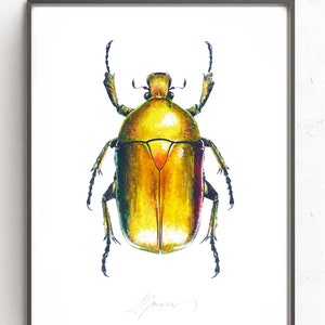 Beetle, Watercolor Painting , ORIGINAL Watercolor, Nature Art