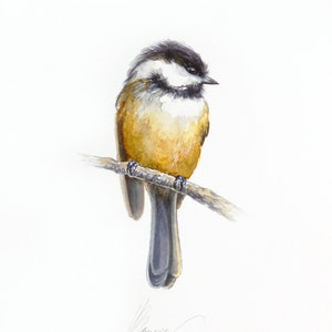 Original Bird Watercolor Painting: Ornithology Wall Art
