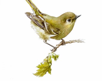Original Watercolor Painting of a Bird, Bird Artworks, Wall Decor, Handmade Gift, Garden Bird, Christmas Gift