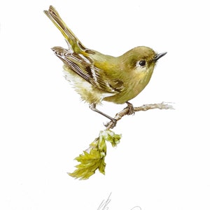 Origineel aquarel schilderij van een vogel, vogelkunstwerken, vogelkunst aan de muur, handgemaakt cadeau, tuinvogel, vogelillustratie, kerstcadeau