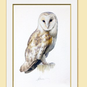 Barn Owl Watercolor Painting: Limited Edition Fine Art Print