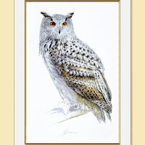 Eurasian Eagle Owl Art Print: Watercolor Bird Painting