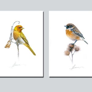Set di 2 opere d'arte da parete, opere d'arte ORIGINALI, opere d'arte con uccelli, opere d'arte da parete con uccelli, graziose decorazioni per appartamenti, opere d'arte da parete per gallerie, set di opere d'arte da parete per gallerie